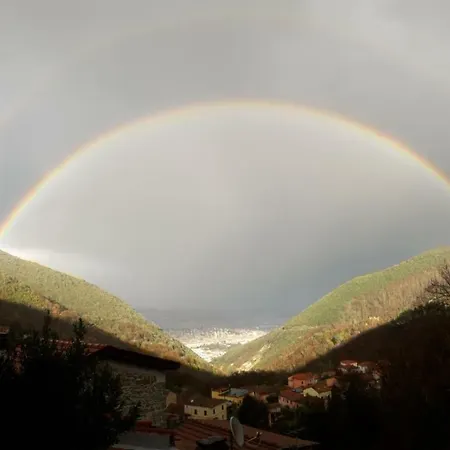 L'acciuga Affittacamere