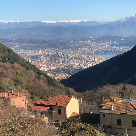 L'acciuga