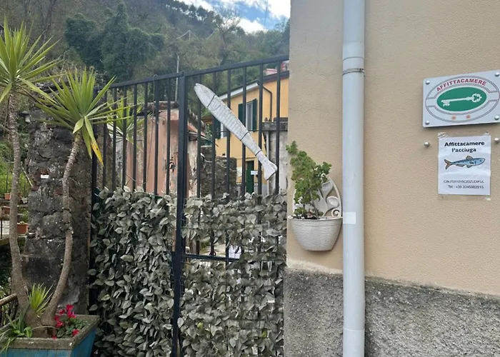 阿菲塔加梅尔阿慈加酒店 斯培西亚